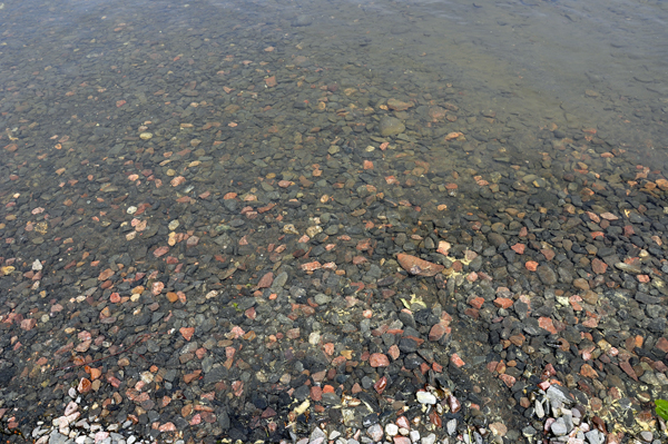 the crystal clear waters of Lake Nipigon