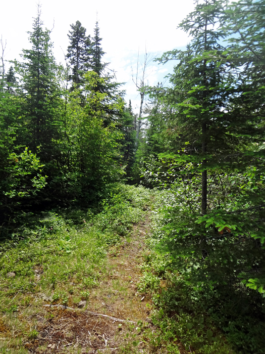 start of the trail at Split Rock