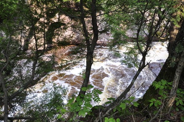 looking through the trees at the Temperance River