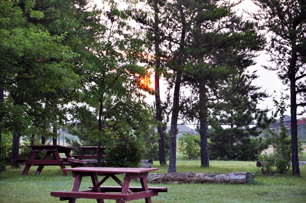 sunrise through the trees at Bemidji KOA