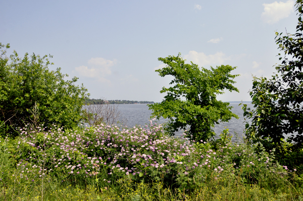 Lake Bemidji