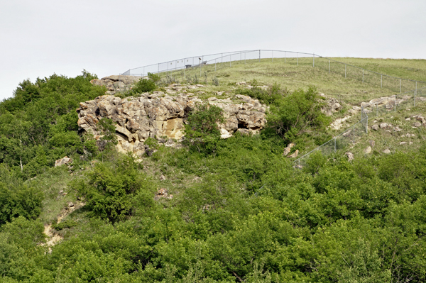 sandstone rocks and trees