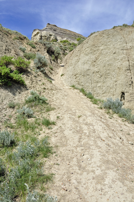 The steep hill next to the cave