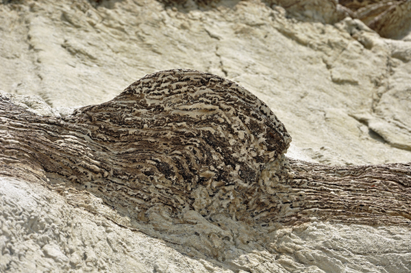 variety of texture and colors in Castle Butte