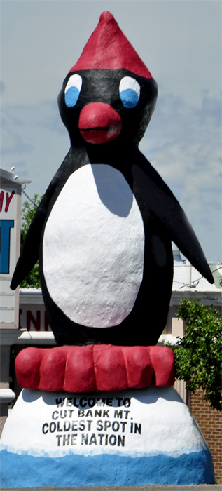 a talking Penquin in Montana