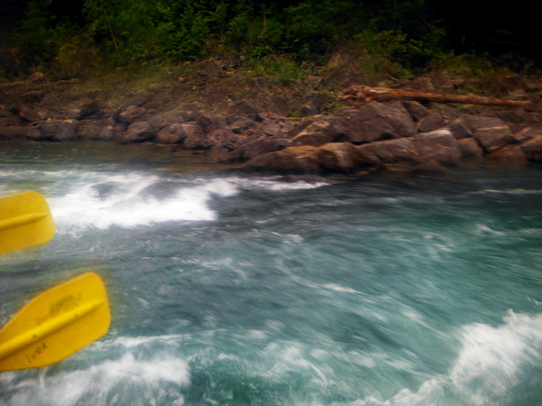 paddling in the rapids