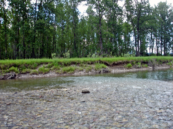 first look at the 40 degree water