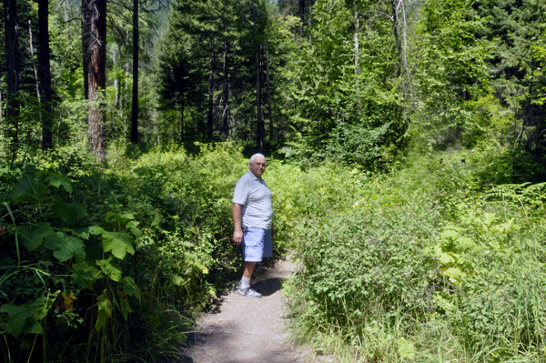 the path to the waterfall.