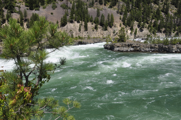 the island at Kootenai Falls