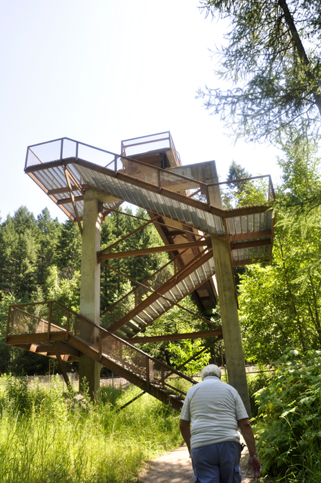 Lee Duquette at the wooden staircase 