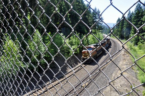 the train approaching the bridge