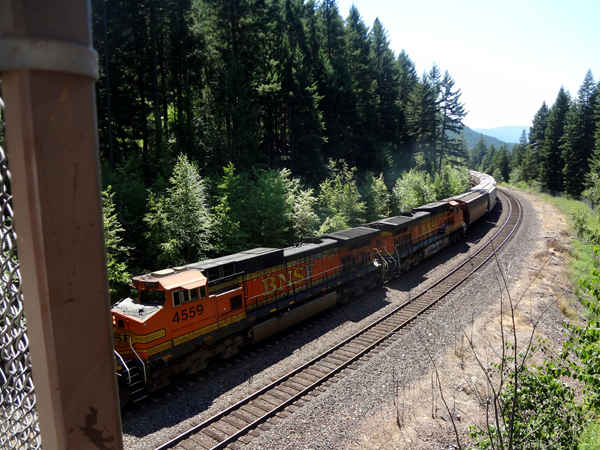 the train approaching the bridge