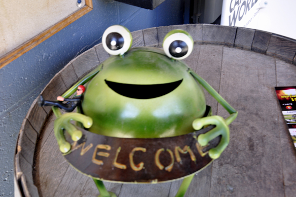 Welcome Frog