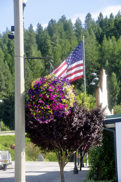 Beautiful hanging flower baskets