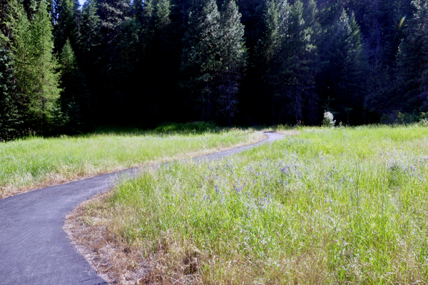 the beginning of the trail to Myrtle Falls