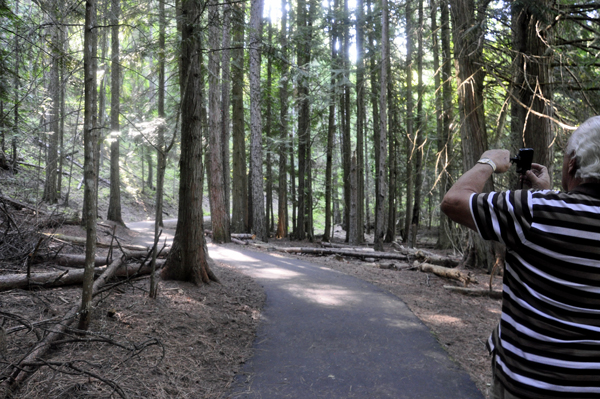 Lee Duquette photographing the tall trees