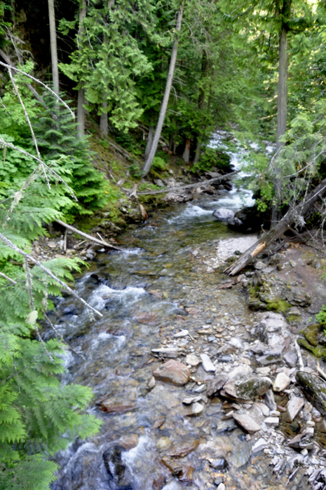 view from the bridge