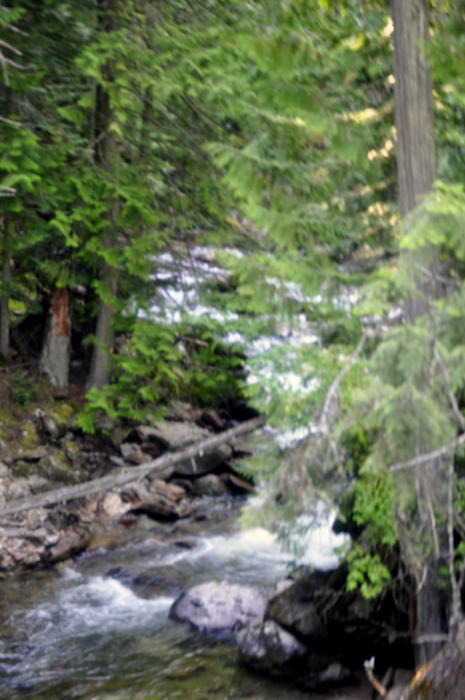 the flow of water from Myrtle Falls