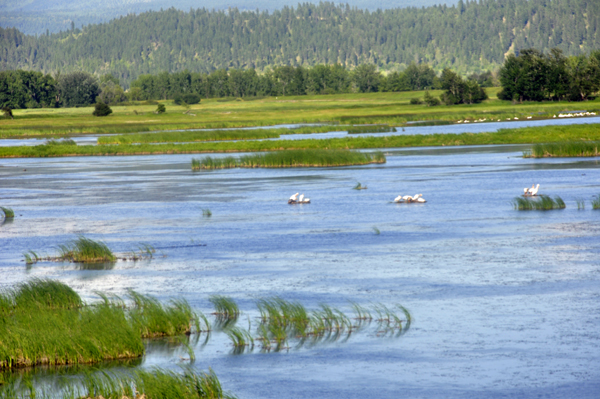 nice scenery at Kootenai National Wildlife Refuge