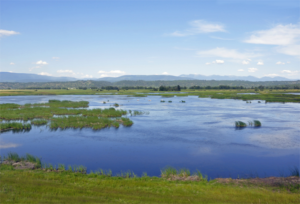 nice scenery at Kootenai National Wildlife Refuge