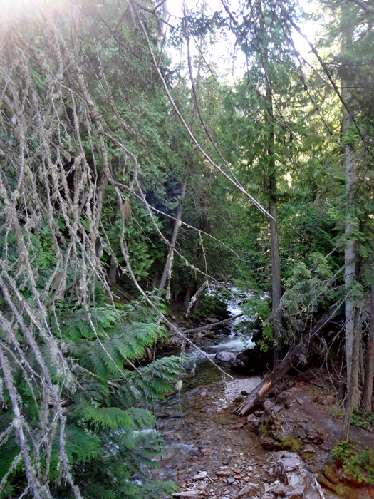 first signs of water from the falls