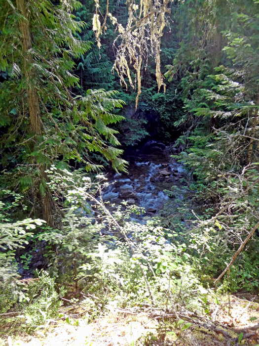 the flow of water from Myrtle Falls