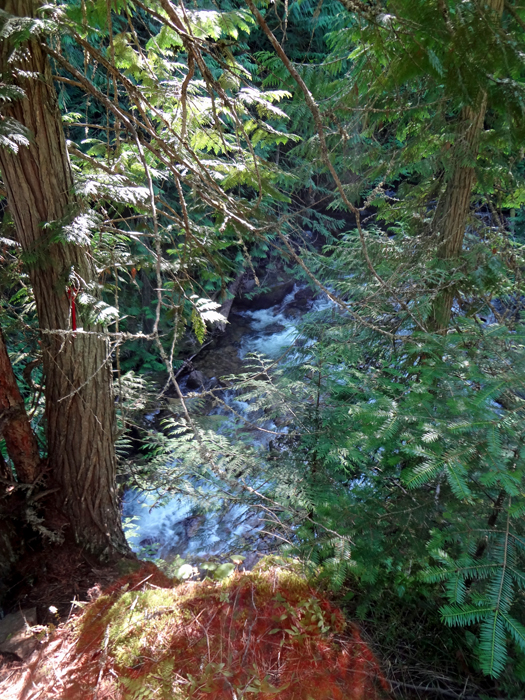 the flow of water from Myrtle Falls