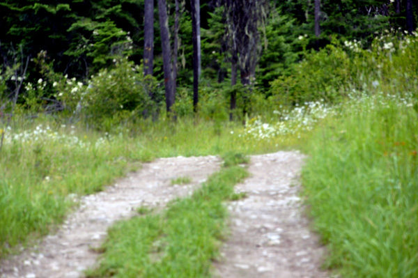 the road to Hunt Creek Falls