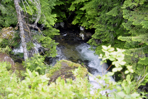 Hunt Creeek Falls