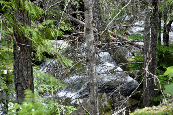 Hunt Creeek Falls