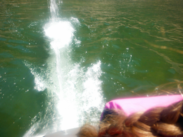 jet ski rooster tail