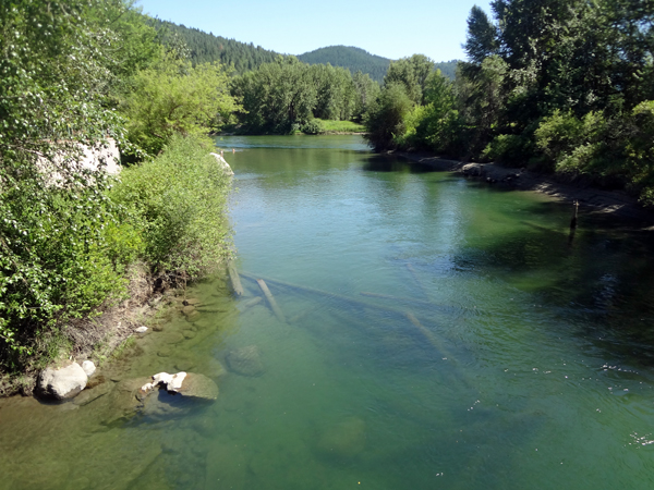 view of the river