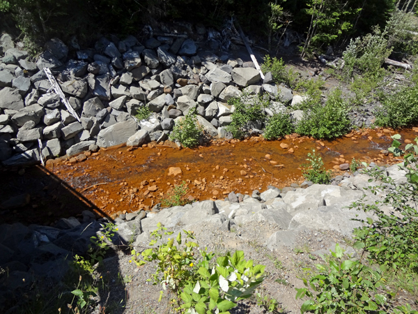 Kautz Creek in Mount Ranier National Park