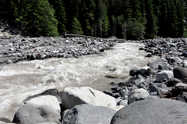 View of the river from the log bridge