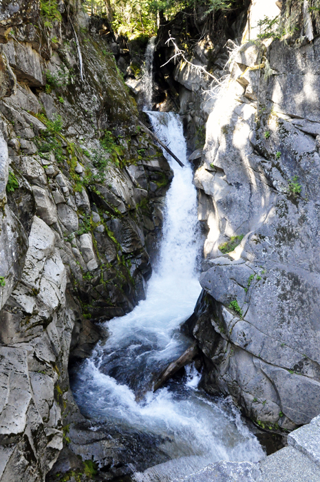 Christine Falls