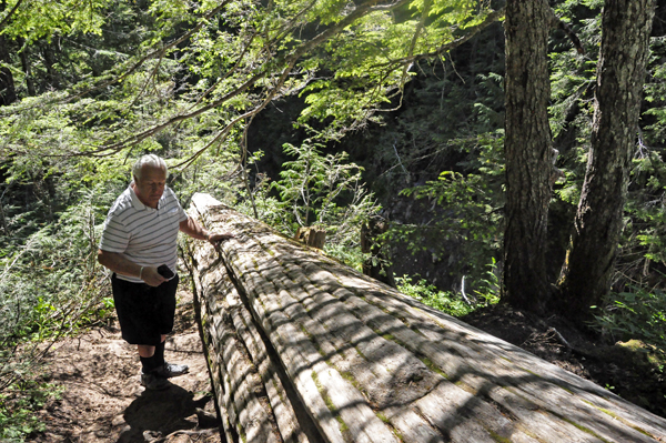 Lee Duquette checking out a big tree laying on the ground by Christine Falls