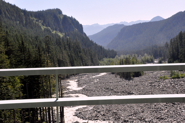 View of Nisqually River