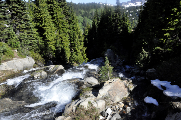 Looking down from the bridge to the top of Myrtle Falls