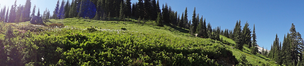 View as the two RV Gypsies walked along the trail to Myrtle Falls