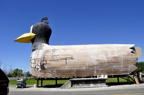 a whale-size Yard Bird 