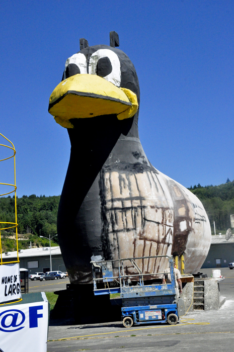 a whale-size Yard Bird 