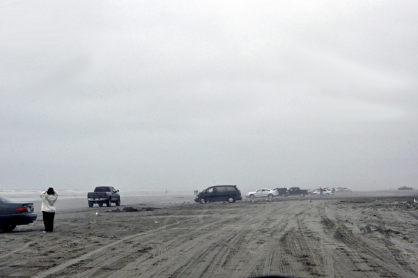 cars on the beach and lots of kites