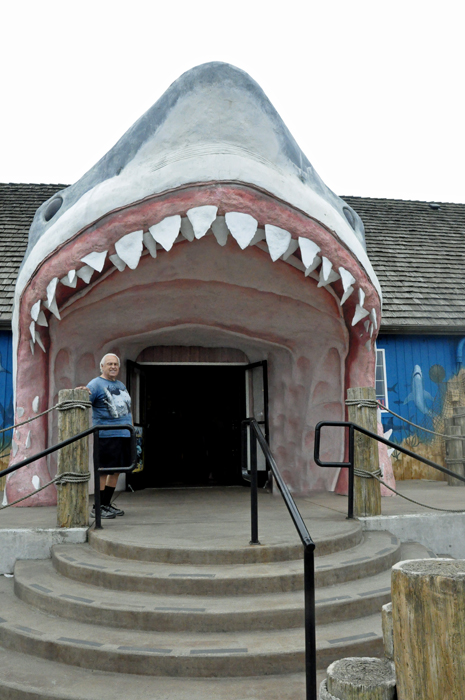 A big shark as the entry to a tourist gift shop