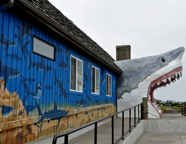 A big shark as the entry to a tourist gift shop