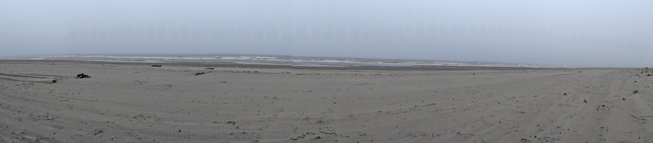 panorama of the beach and ocean