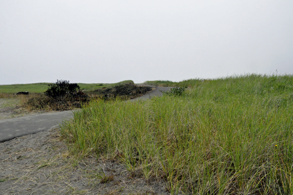 the second part of the path to the ocean and beach