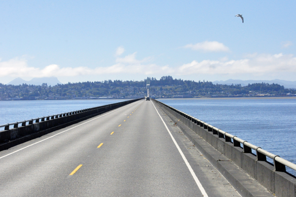 a seagull flying close to the RV window