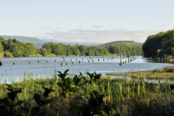 pilings in the river