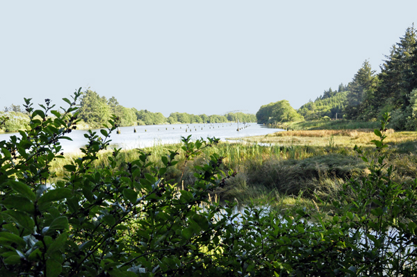 pilings in the river