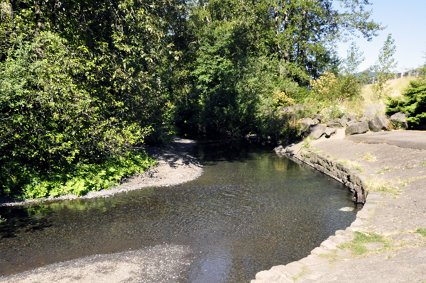 Multnomah Creek at the bottom of the falls